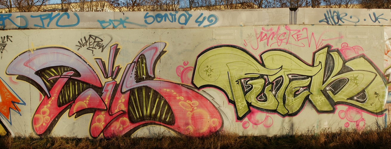 2004 44