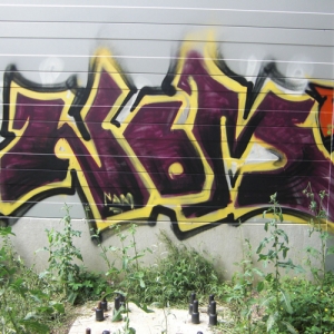 2009 01